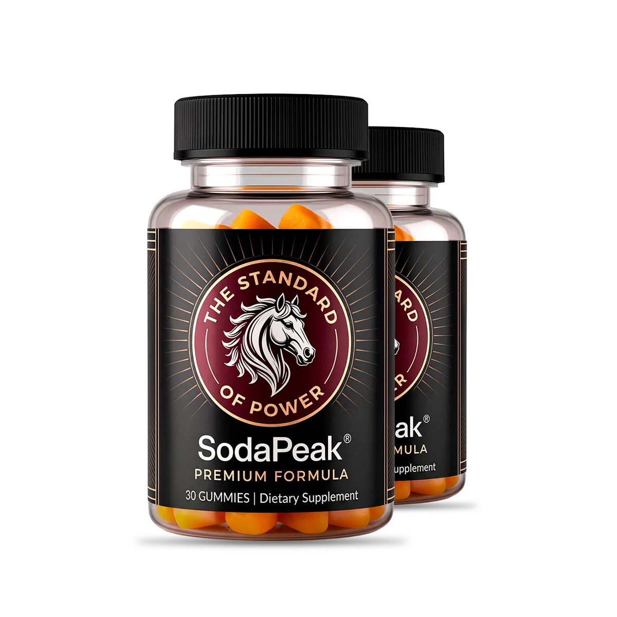SodaPeak 2 bottle