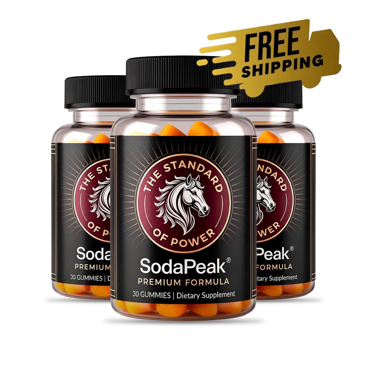 SodaPeak 3 bottles